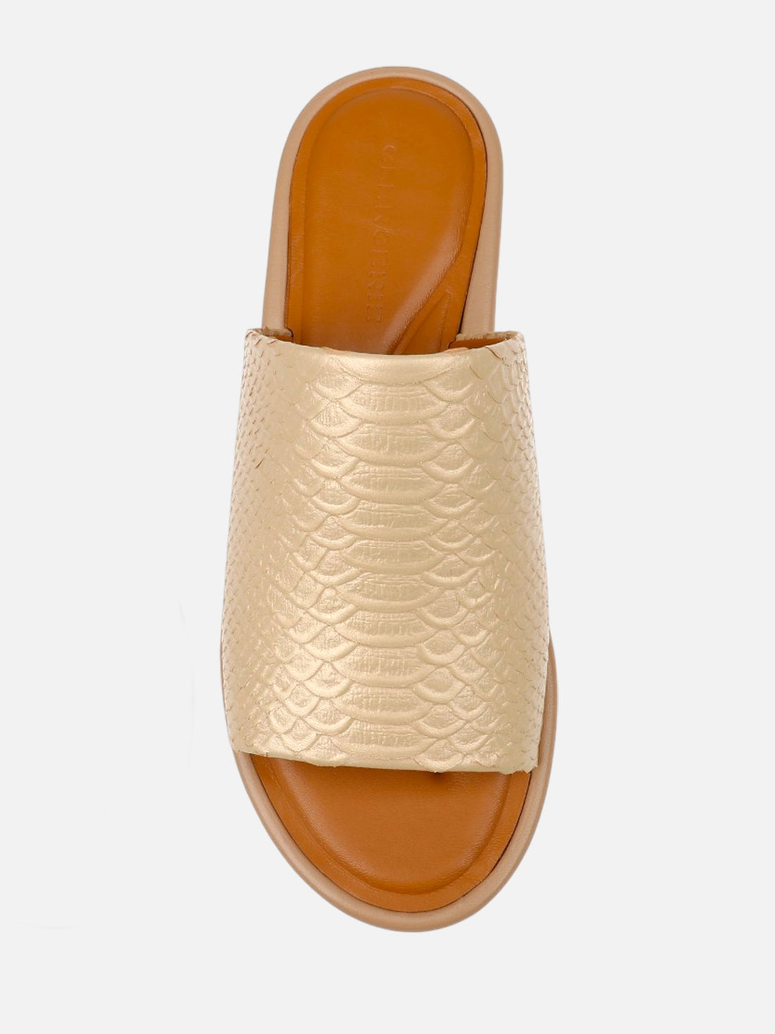 FIRST, nude snake effect