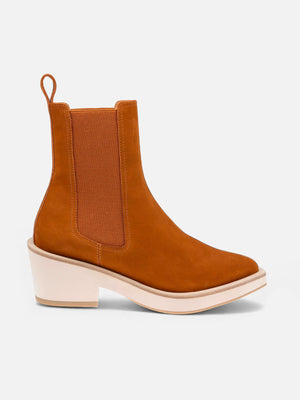 TEGAN4, brown
