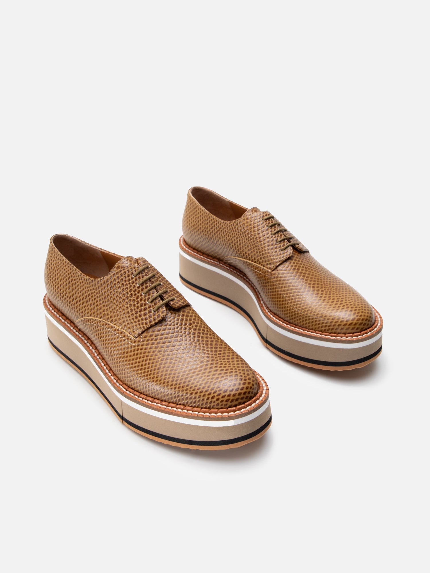 DERBIES - BROOK, snake - effect gobi - Clergerie Paris - USA