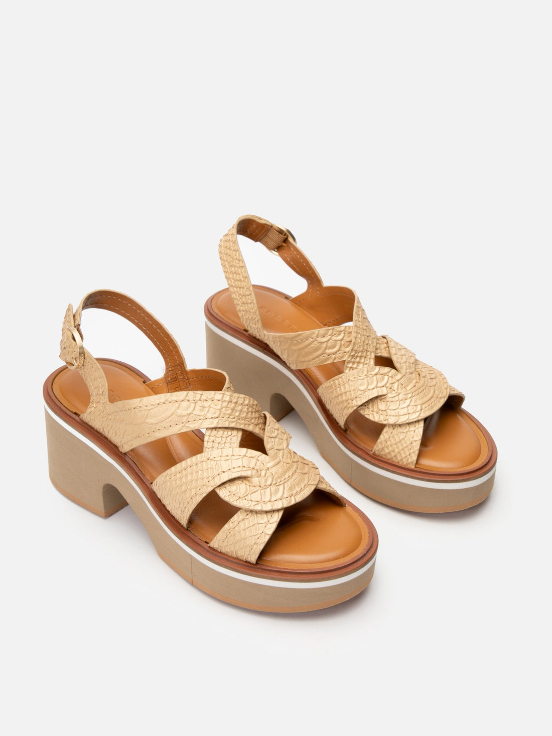 SANDALS - CALIXA, nude snake effect - Clergerie Paris - USA