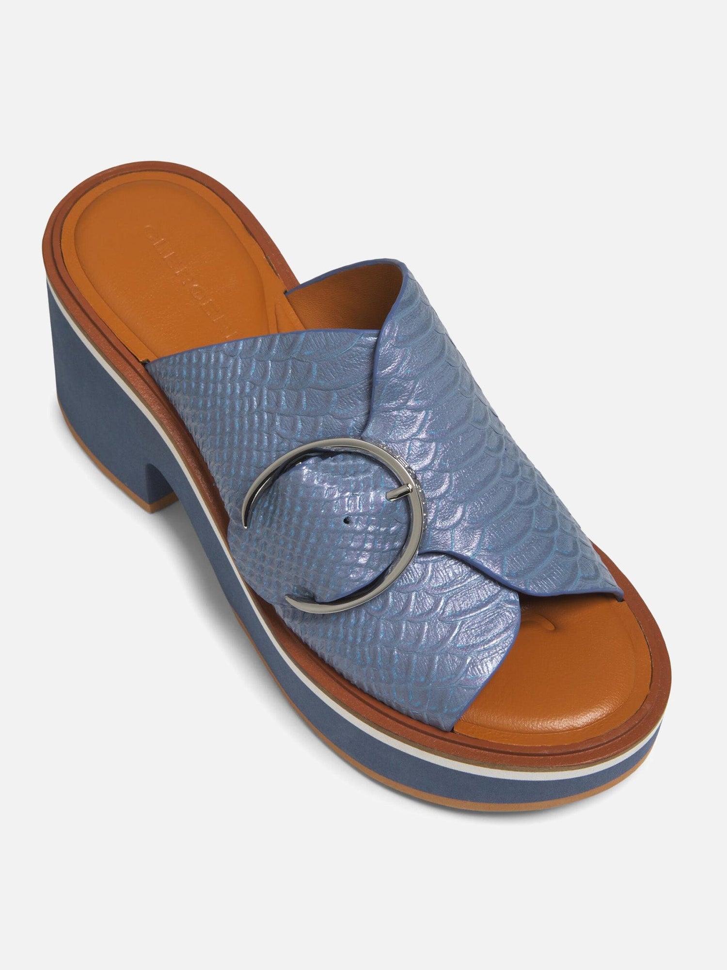 MULES - CASH, azure snake effect iridescent - Clergerie Paris - USA