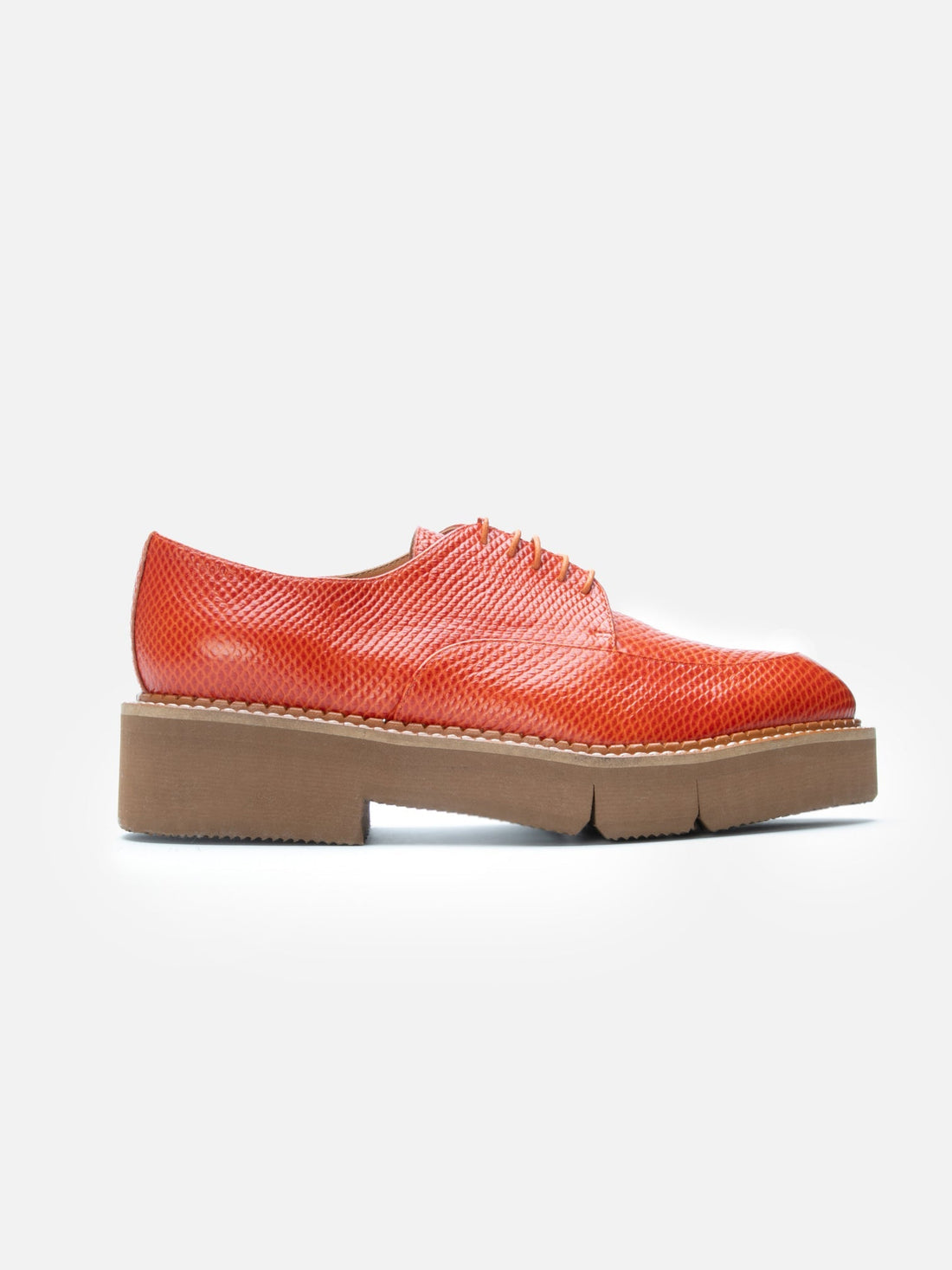 DERBIES - CLIVE, snake - effect spice - Clergerie Paris - USA