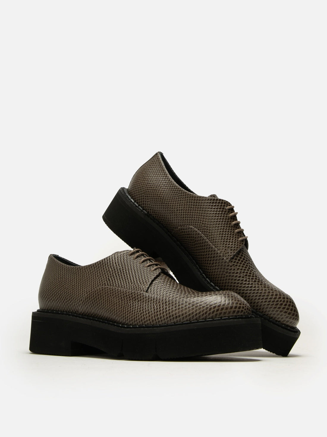 DERBIES - CLIVE, snake - effect stone - Clergerie Paris - USA
