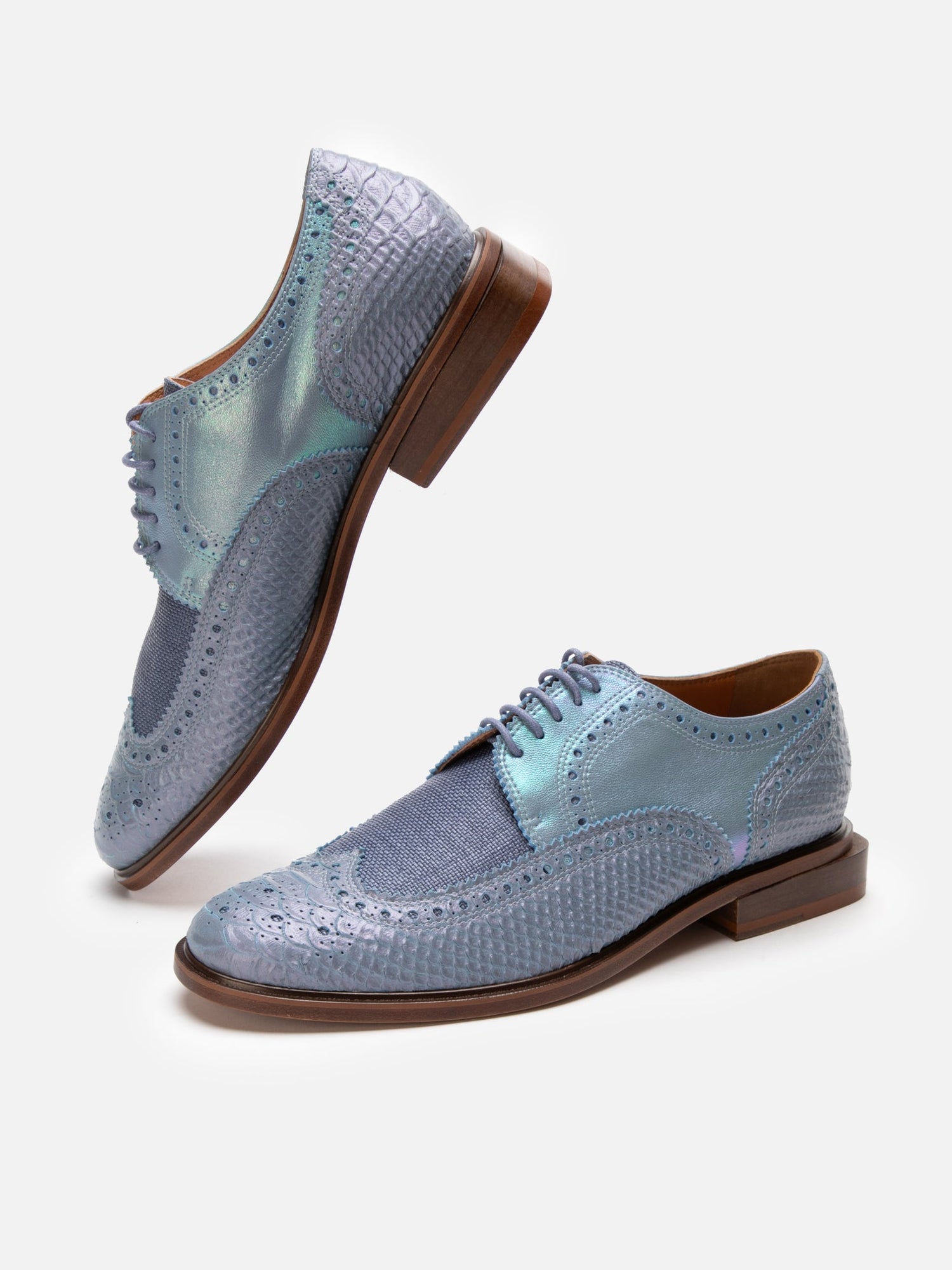 DERBIES - JENSEN, azure snake effect - Clergerie Paris - USA