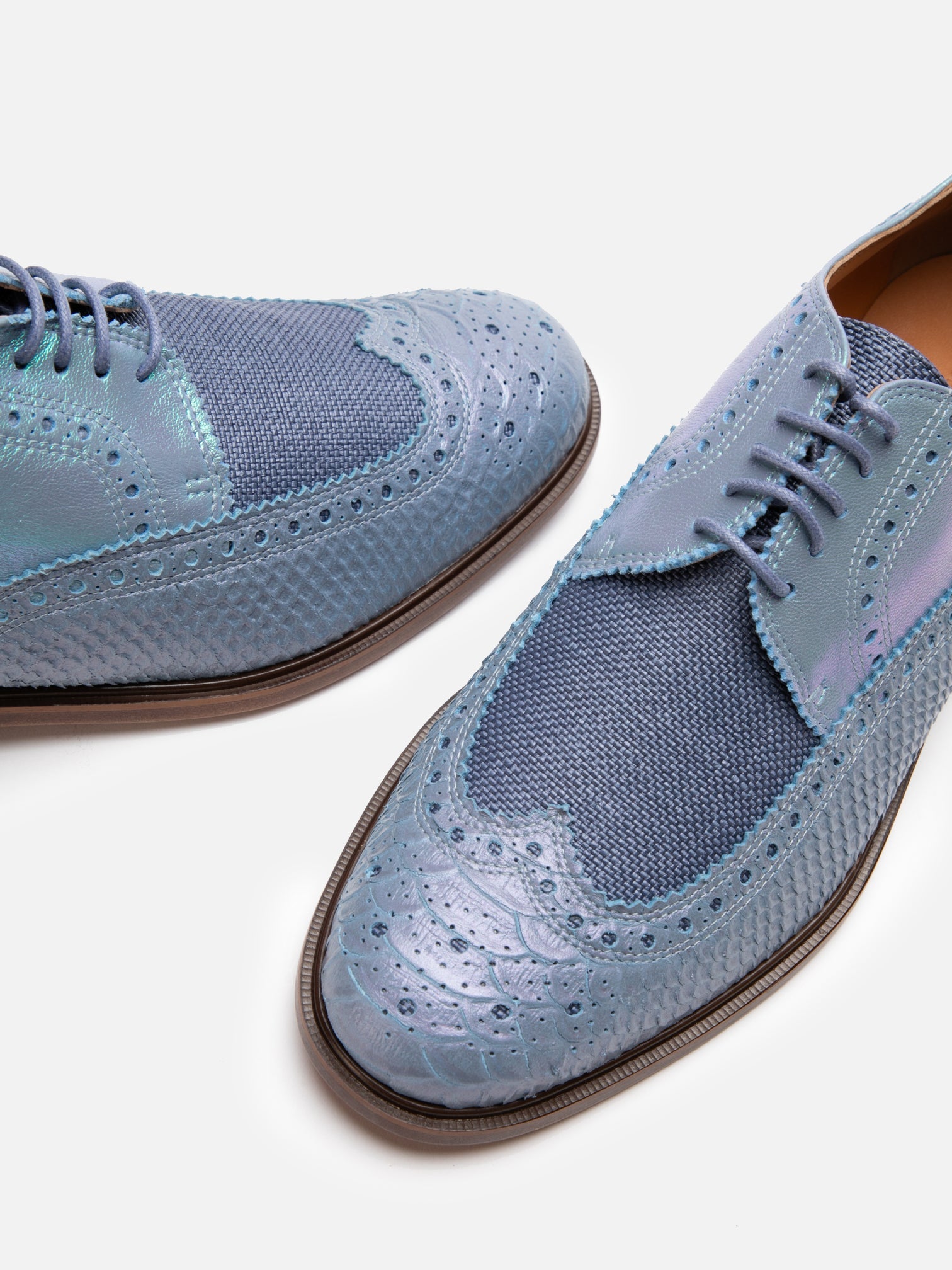 DERBIES - JENSEN, azure snake effect - Clergerie Paris - USA