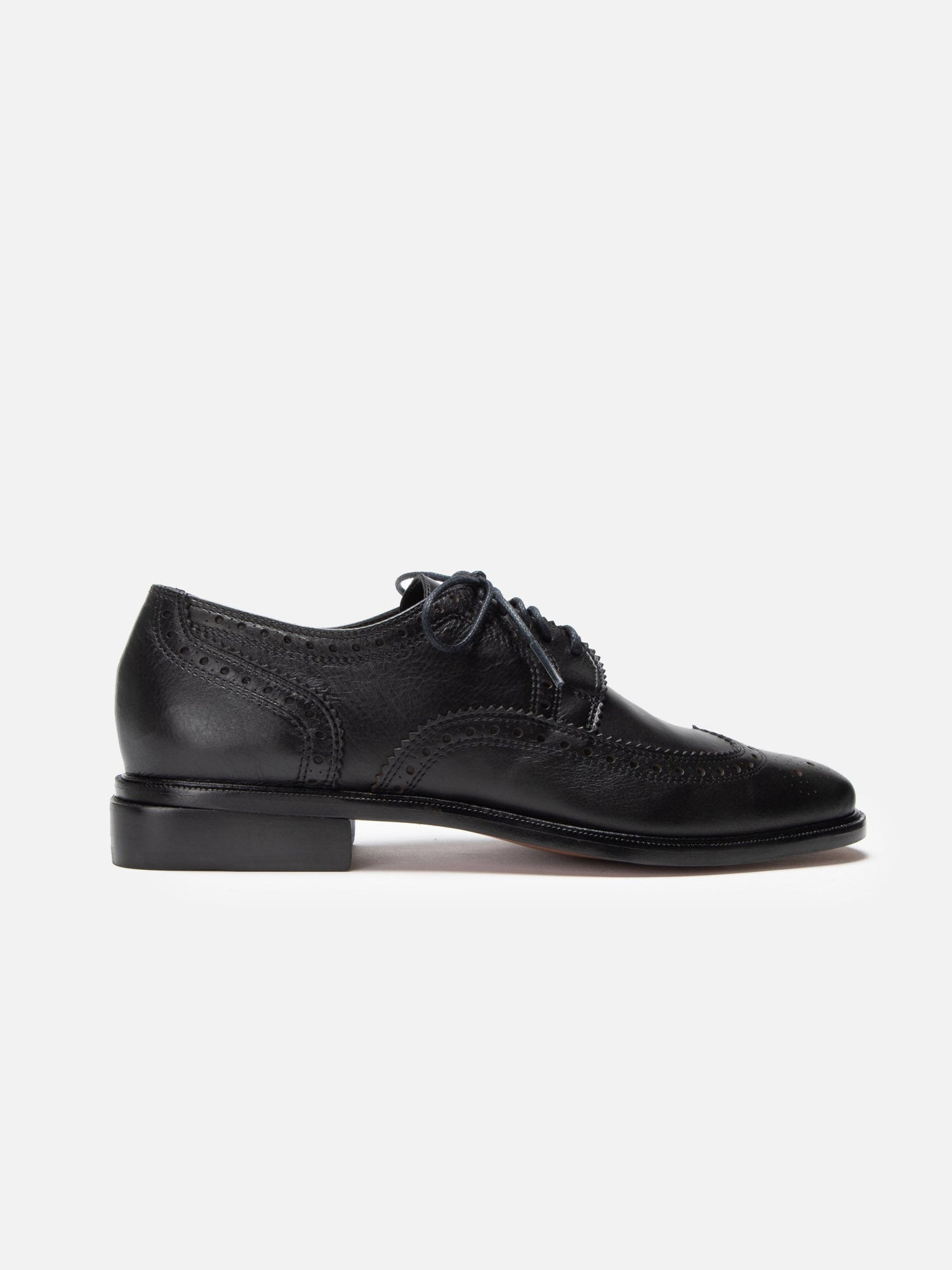 DERBIES - JENSEN, black - Clergerie Paris - USA